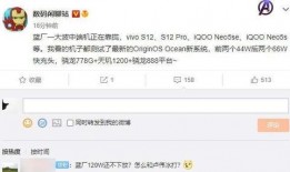 爆料博主熊猫视频大全集,揭秘网红博主幕后故事